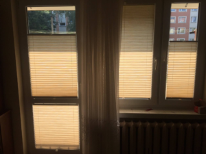 Plisa w świetle szyby w Gliwicach